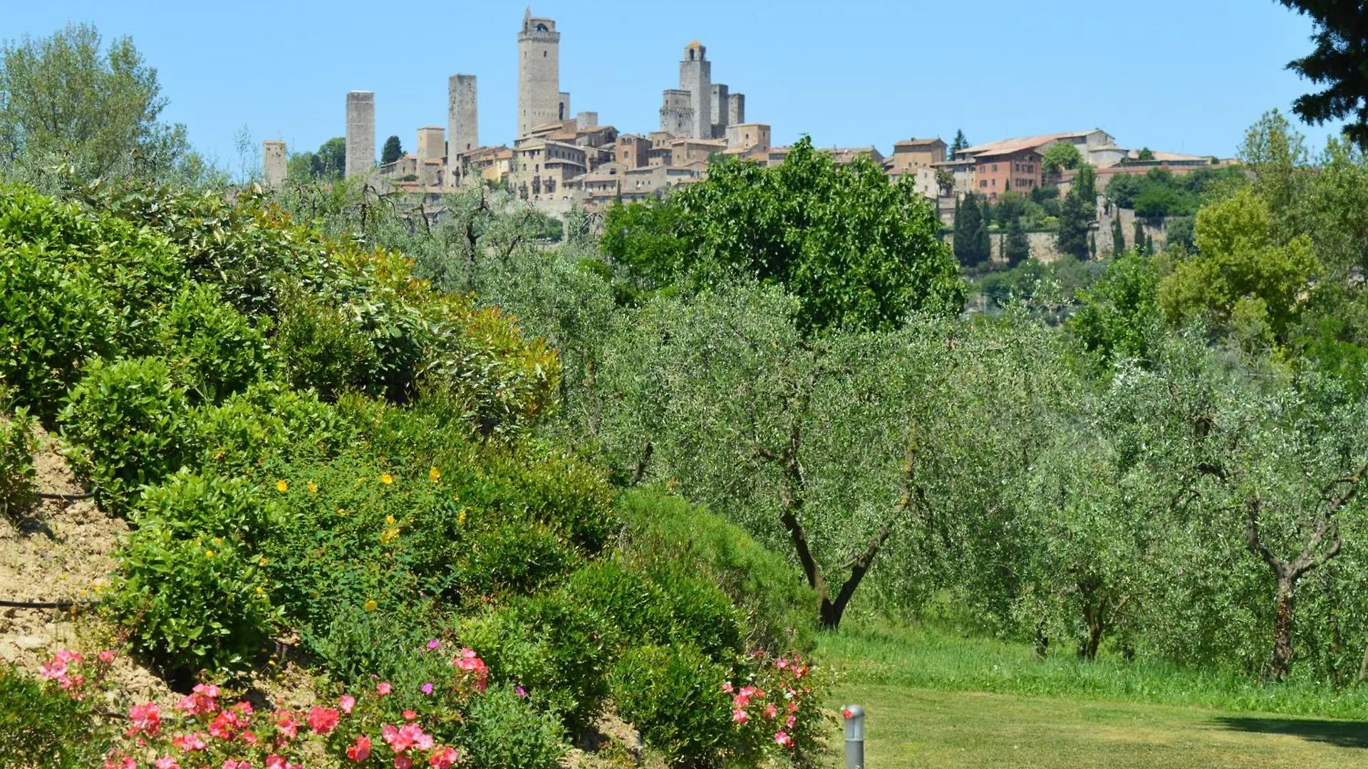 Vakantieboerderij Tenuta Guardastelle - Agriturismo And Vineyard San Gimignano Italië